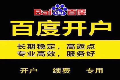 百度竞价推广案例：打造高效营销策略